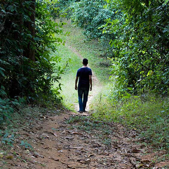Man walking in Eden Valley Burial Ground in Kent UK