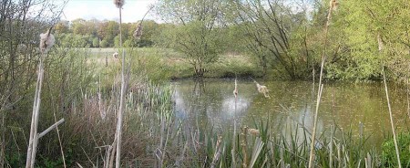 The Pond at Eden Valley that we look forward to improving over the seasons.