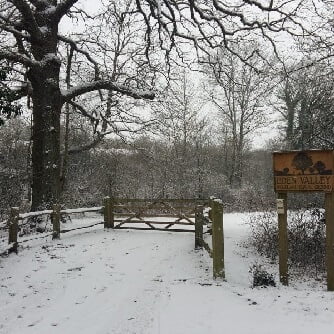 thumbnail_winter-334x334 thumbnail_winter-334x334