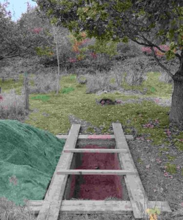 20241108_125408 20241108_125408